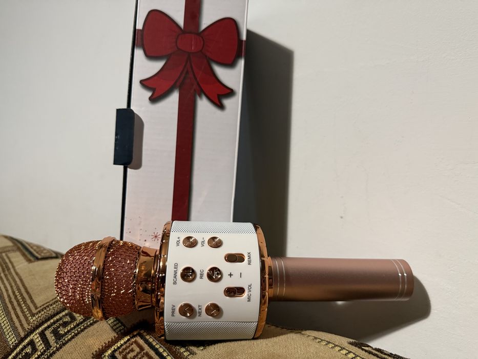 Мікрофон караоке