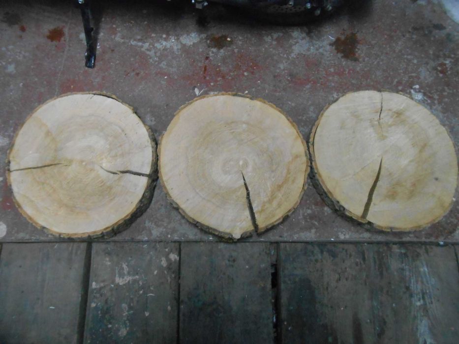 Plaster drewna jesion, blat średnica 30 do 38 cm