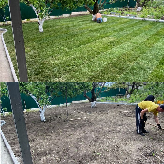 Рулонний/Посевной газон под ключ