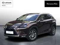 Lexus NX Lexus 300h Comfort AWD, Vat Marża, Serwis Aso, Salon PL