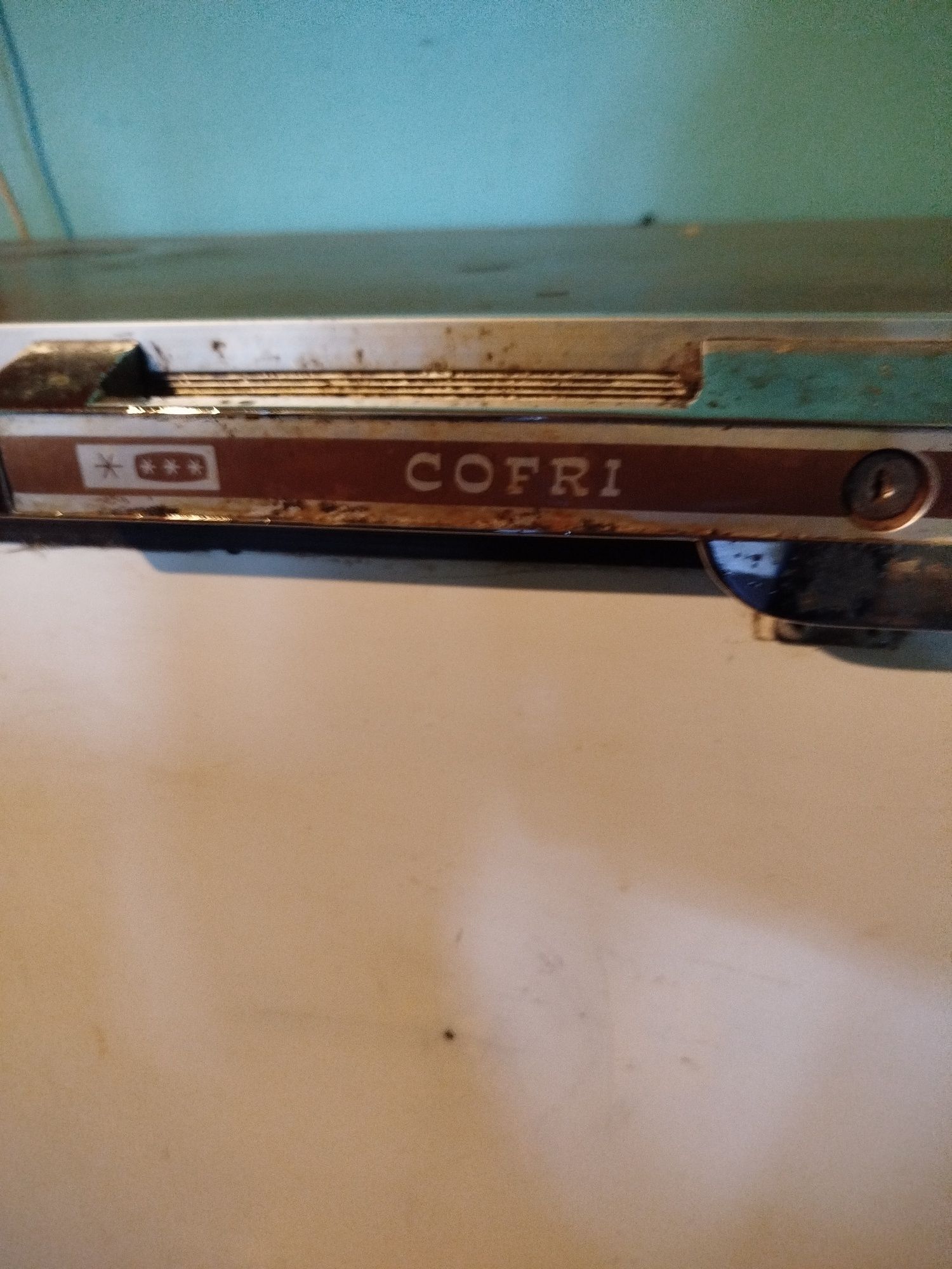 Arca congeladora 450L