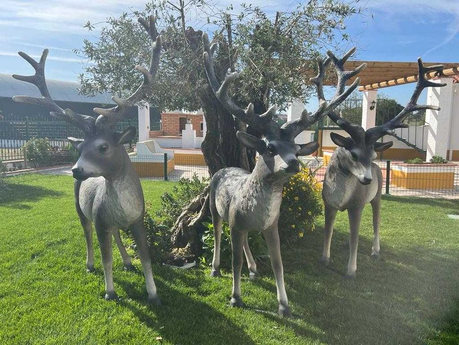 Renas para decoração de Natal
