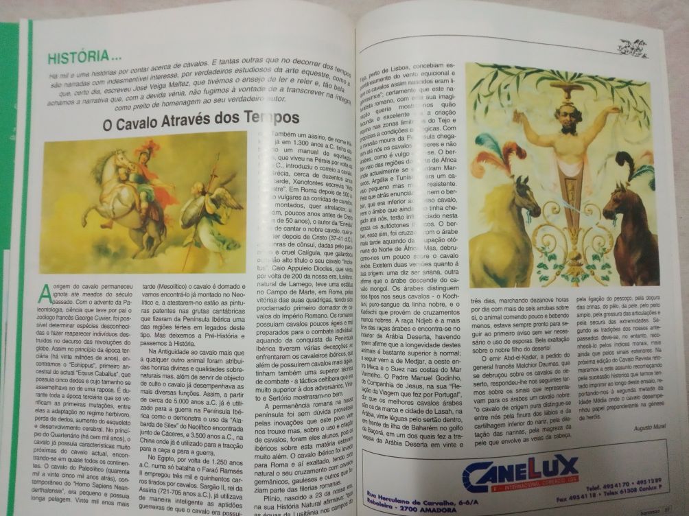 Revista:  CAVALO Magazine  ( 1995 )