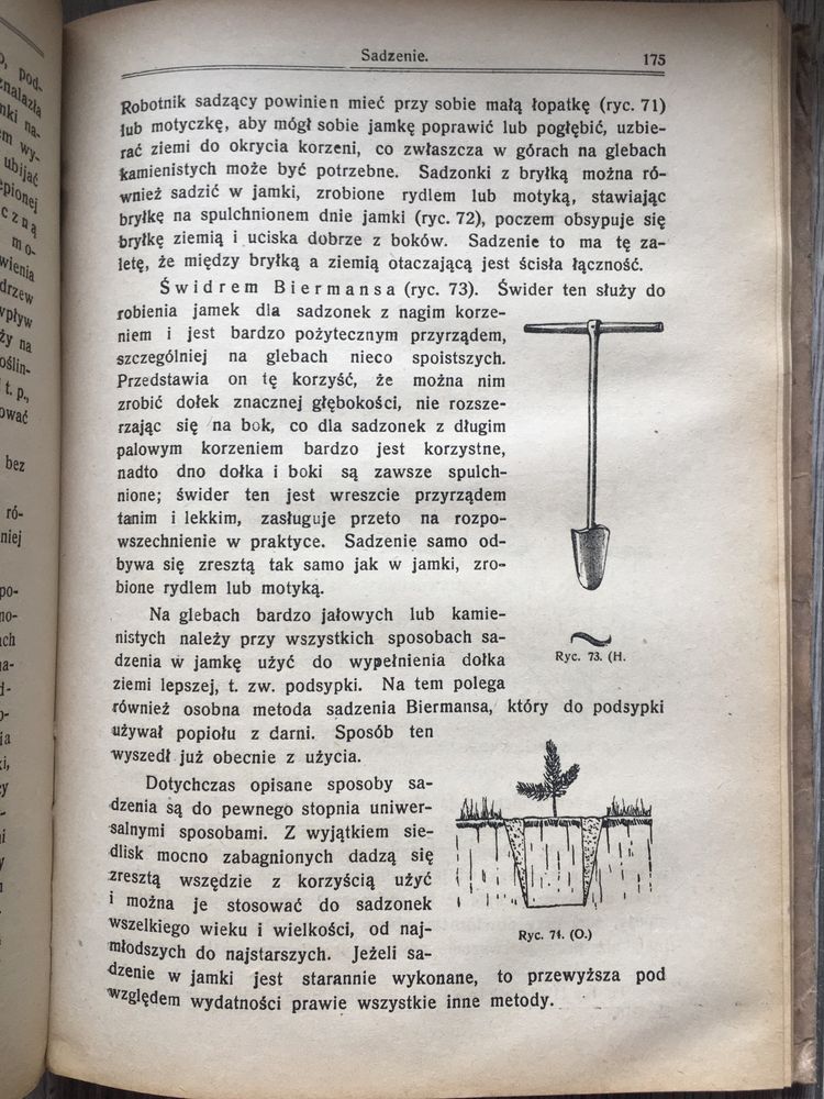 Hodowla lasu Sokołowski Lwów 1921 leśnictwo