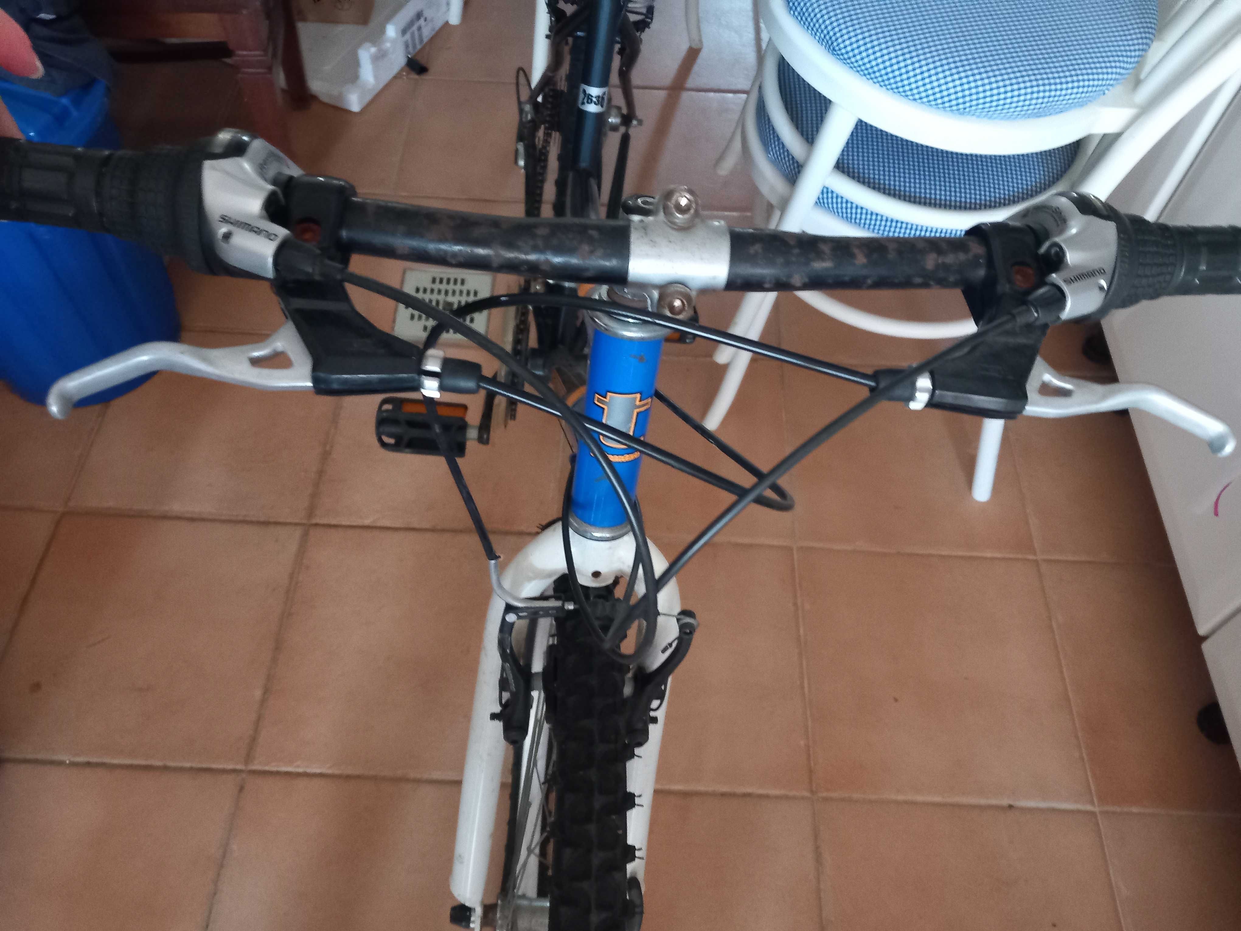 Bicicleta Nature team 200