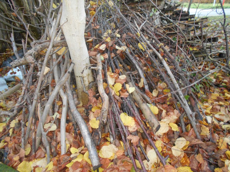 Sprzedam tanio drewno liściaste do kominka lub pieca