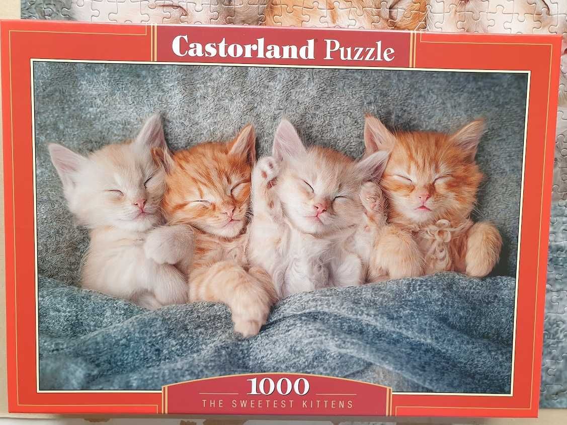 Puzzle Castrorland 1000 elementów. Kotki
