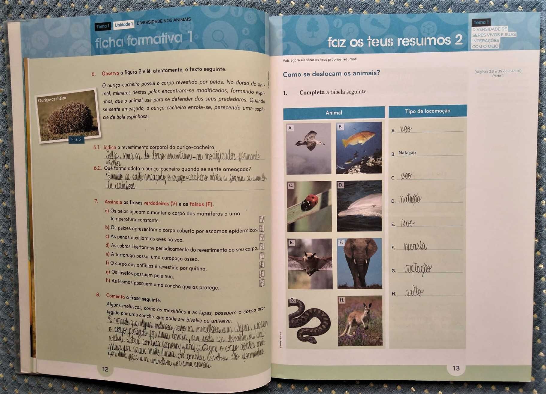 "Natura 5 Ciências da Natureza 5º Ano" Caderno de Atividades + CD-ROM