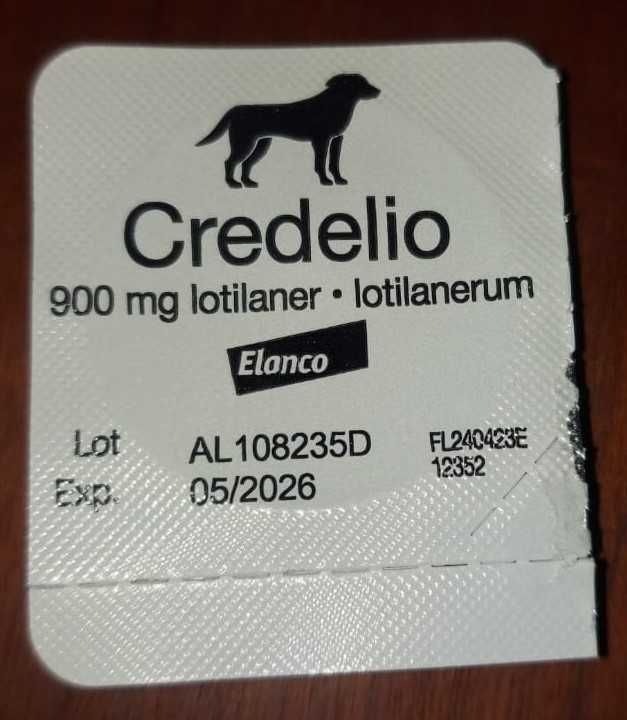 Suplementos alimentares para cães