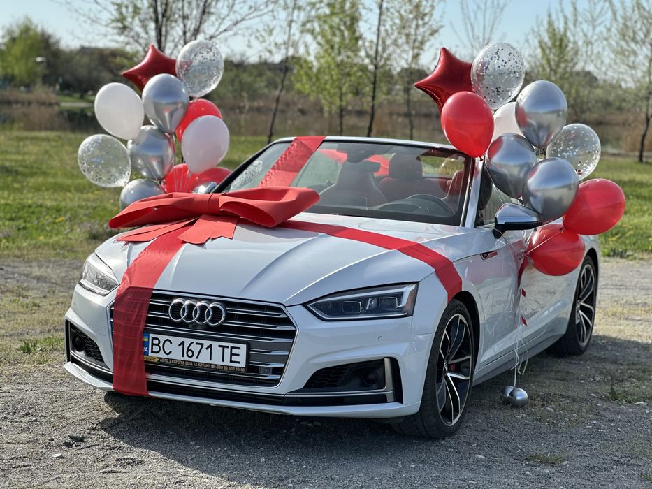 Бант бантик машина авто