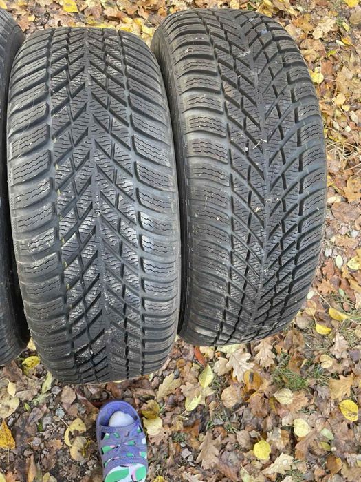 Зимові Шини Nokian R16 205/55