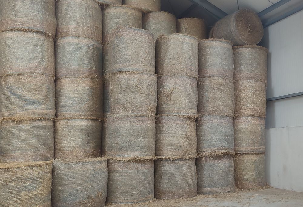Słoma w balotach 130x130 SUCHA