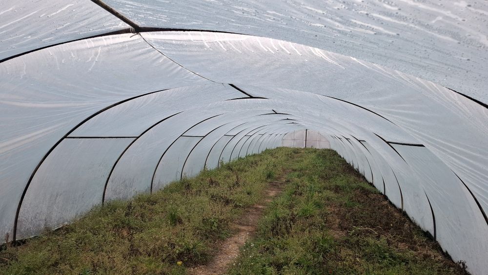 Tunel foliowy stelaż + folia
