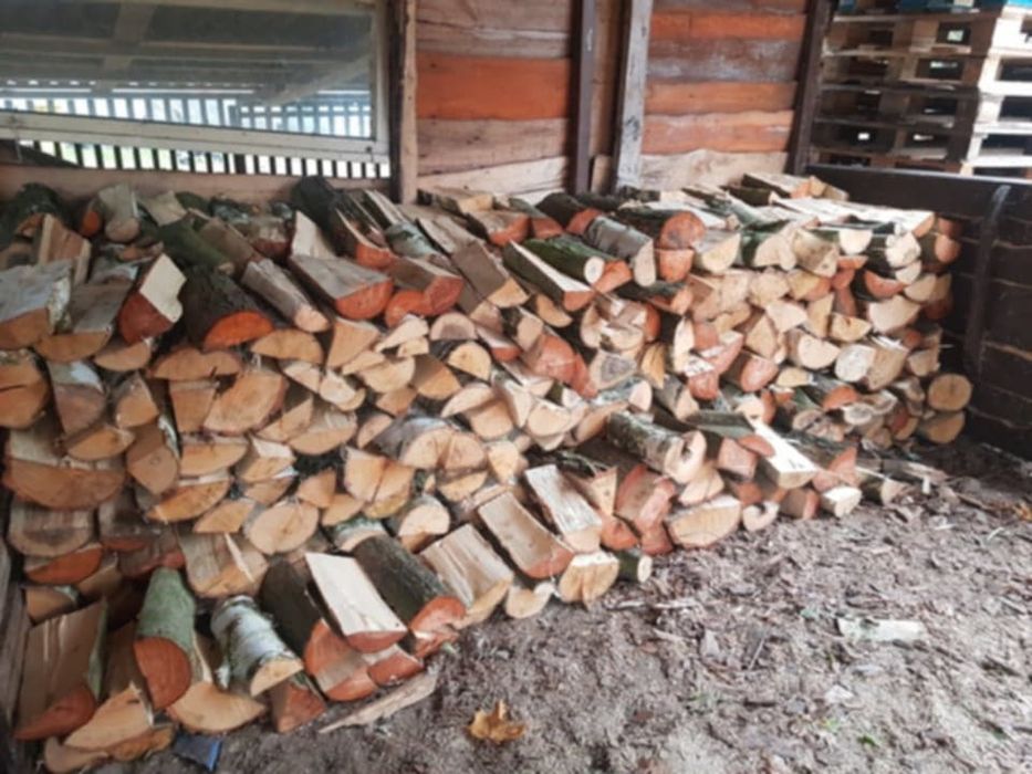 Drewno opałowe dąb brzoza