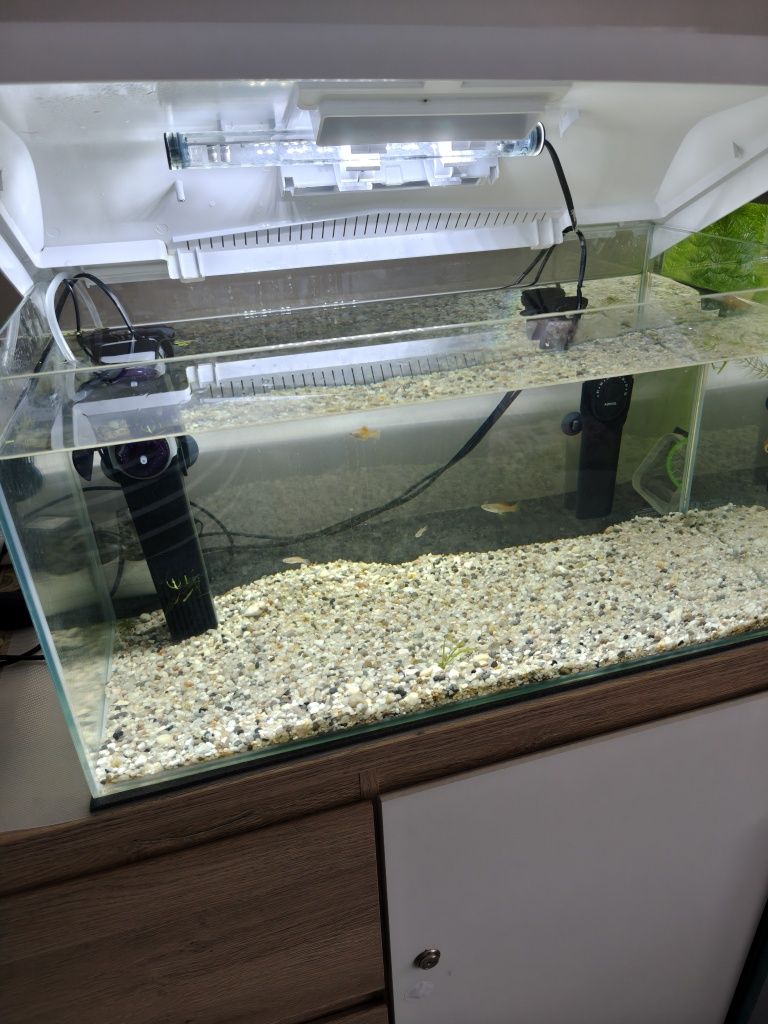 Sprzedam akwarium Leddy 60