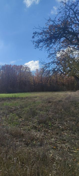 Будинок в селі Івашки Полтавського району.