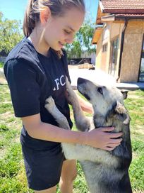 BARI- super pies kumpel, kocha ludzi. Uratowany w Bułgarii