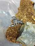 Euscorpius Italicus subadult L5