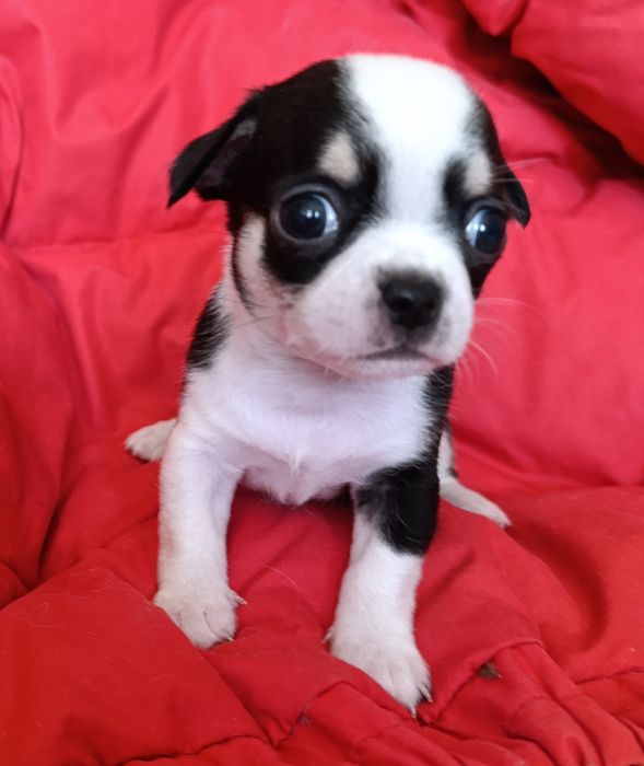 Гарненький хлопчик чекає на родину