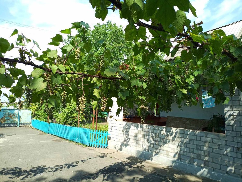 Продаю будинок з городом у с. Степове, Миколаївська обл.