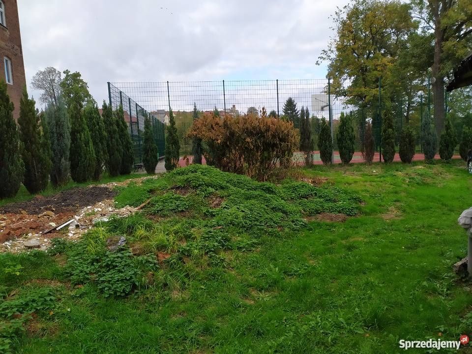 Kamienica w centrum Gryfowa Śląskiego z działką 5 arów