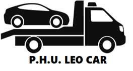 Producent najazdów LEO-CAR Fiat Ducato iveco sprinter master najazd