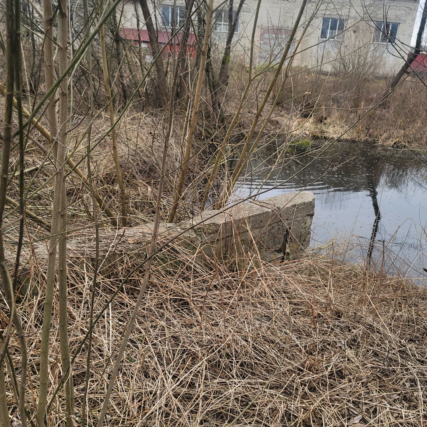 Земельна ділянка з будівлею 0.33 га комерційного знчення