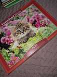 Puzzle 500 castorland