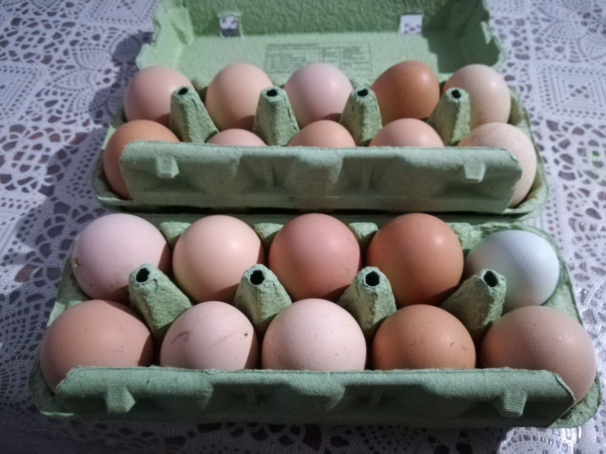 Jajka wiejskie naturalne