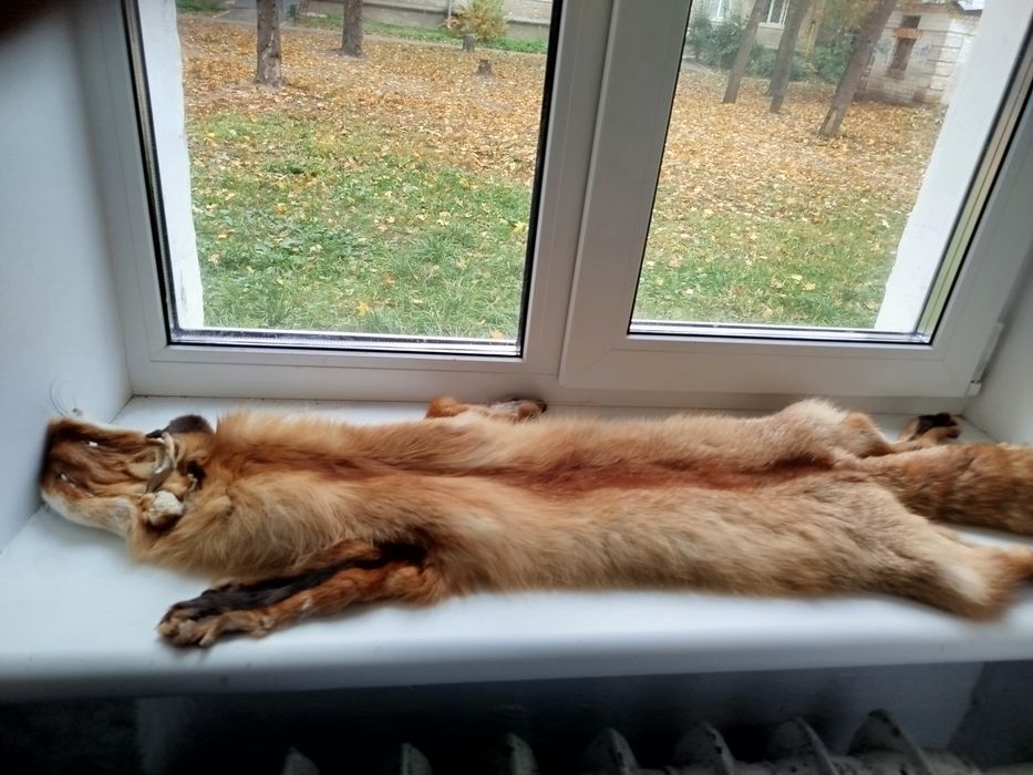 Меховой чулок из рыжей лисицы