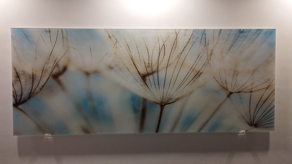 Obraz szklany 125x50cm