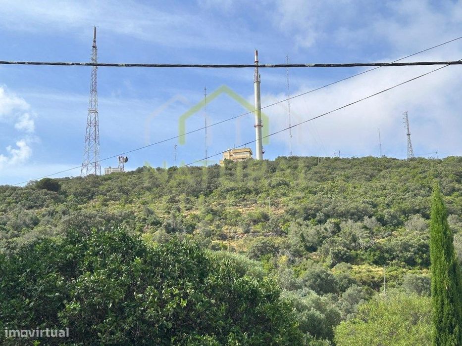 Terreno Rústico em São Miguel, Moncaracpho