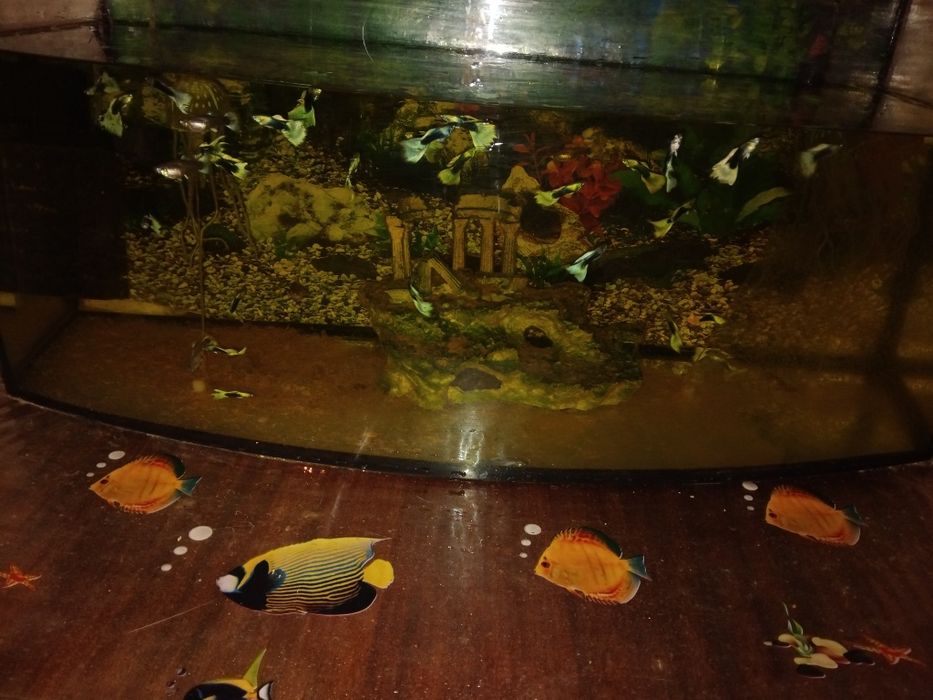 Срочно дешево продам аквариум с рыбками.