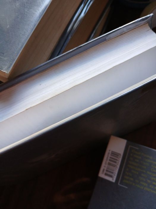 Книга Стивина Кинга "Стрелок.Извлечениие троих. Бесплодние земли"


На