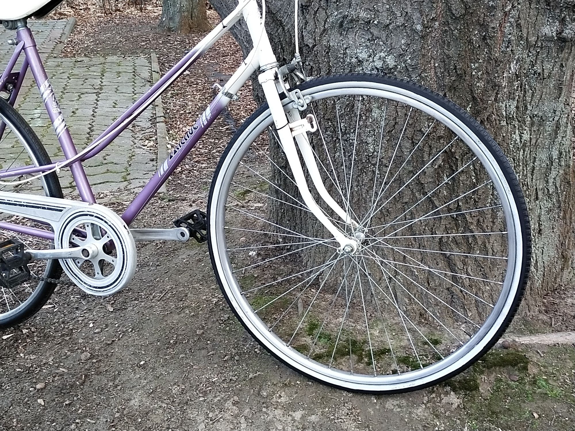 Niemiecka dwurulka Active kola 28"rama20"