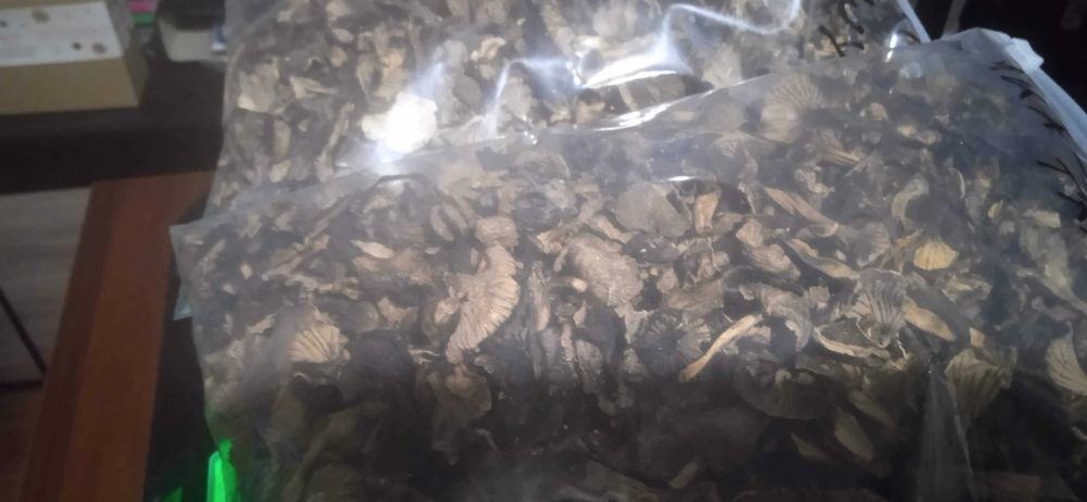 GRZYBY SUSZONE Kurka+PieprznikTrabkowy SUPER CENA 0,340KG 85zl-2025R