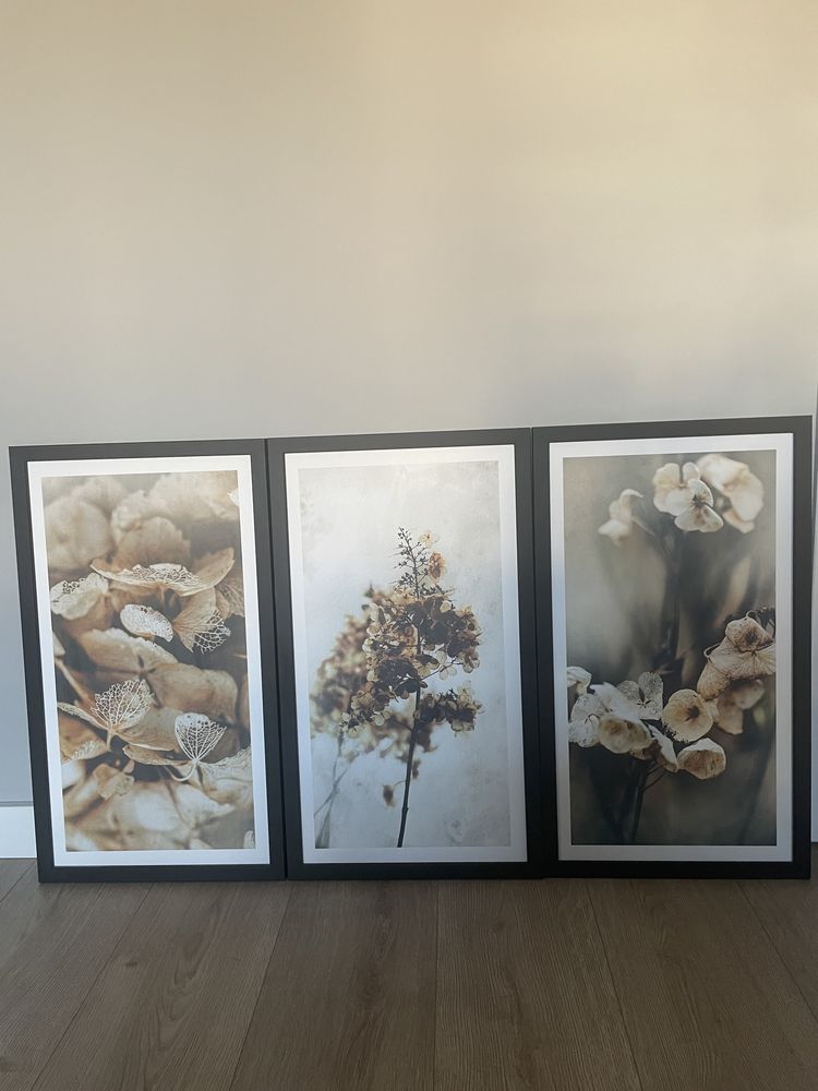 3 plakaty w ramie, wymiar 60 x 34 cm każdy