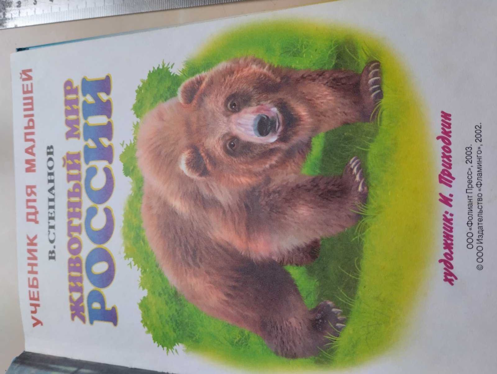 Животный мир России Учебник для малышей 2002 год