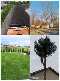 Wycinka Drzew Usługi Glebogryzarką Separacyjną , zakładanie trawnika