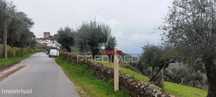 Olival