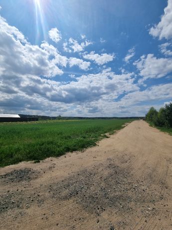 Działka rolno- budowlana w Pszczewie