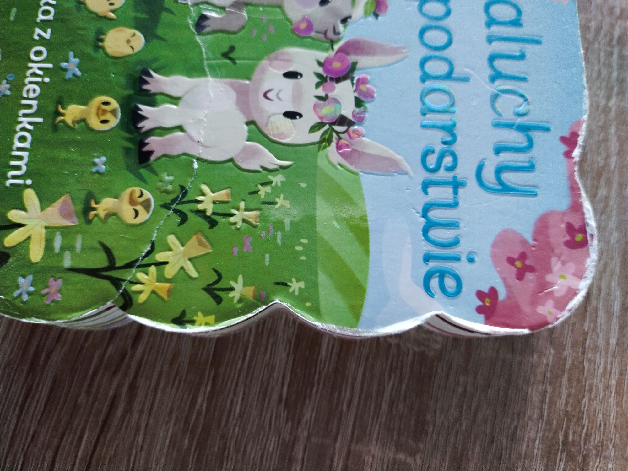 Książeczki z okienkami