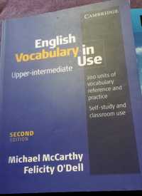 Книга для вивчення англійської мови. English Vocabulary in Use.