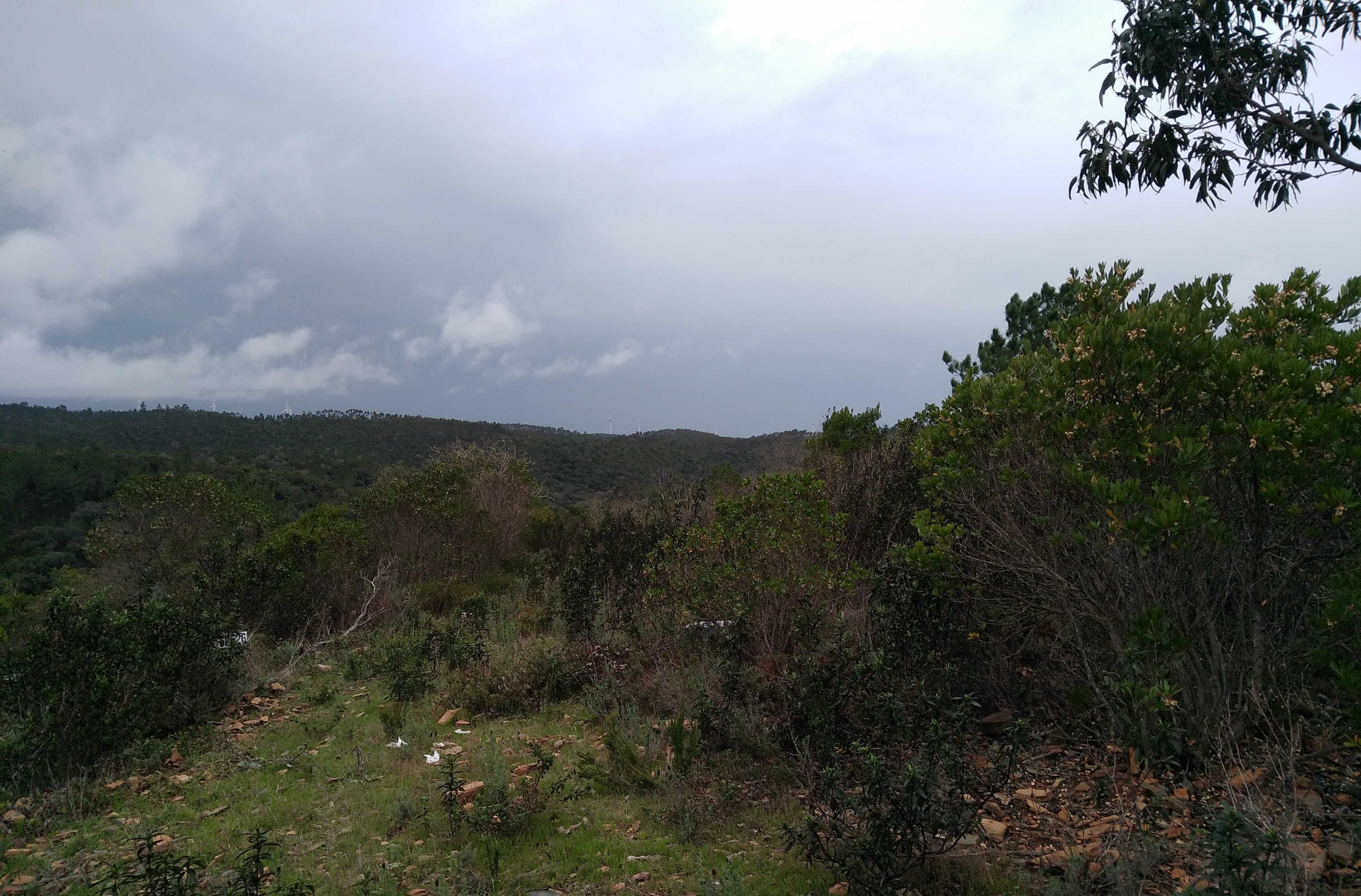 Terreno com Ruína Legalizada – 11,85 ha – Aljezur