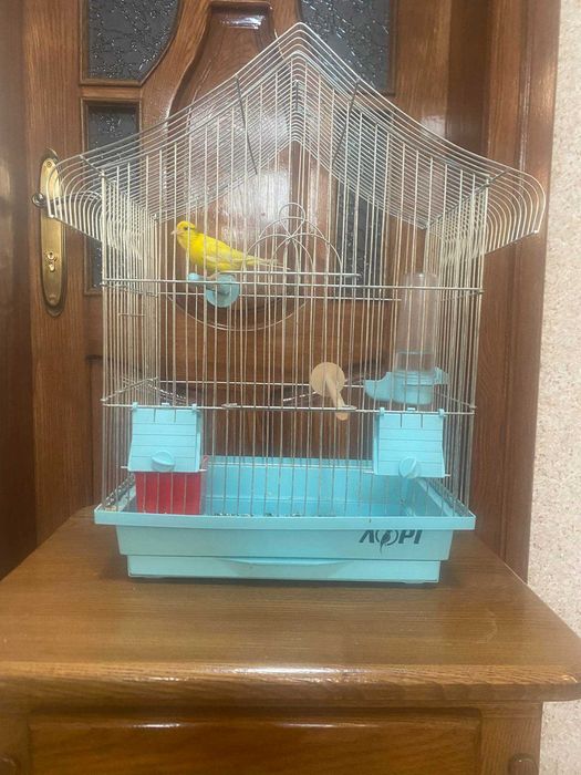 Клітка для канарейок