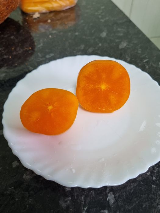 Хурма.  Щеплена хурма