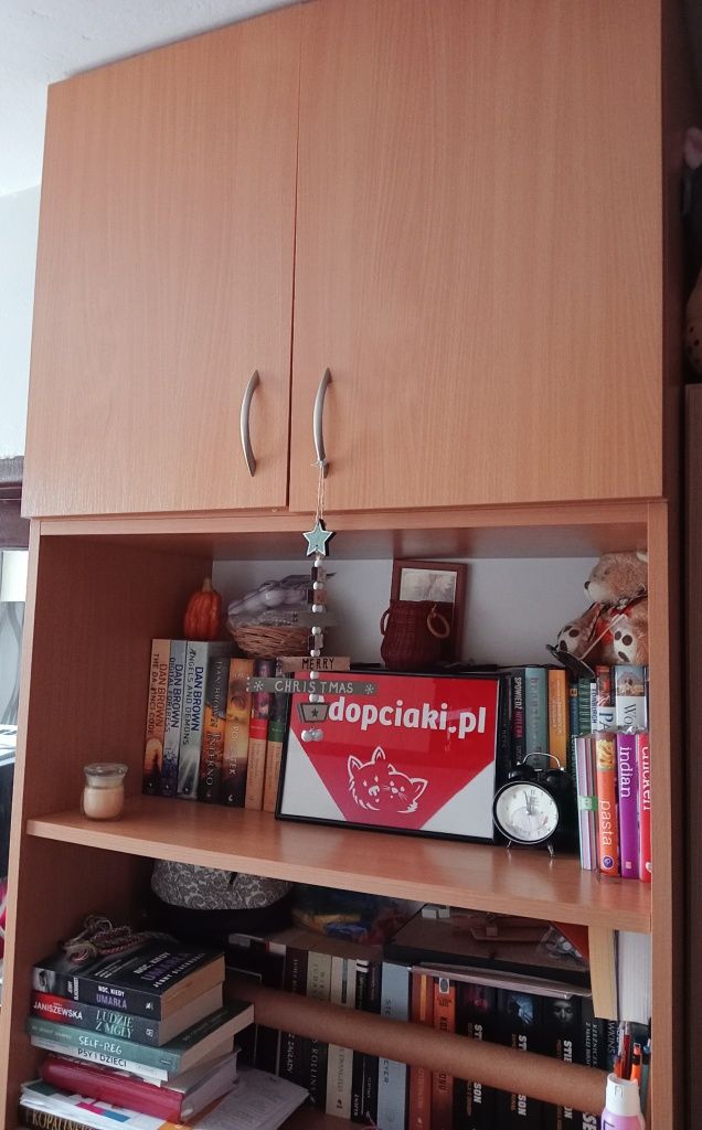 Szafa szafka regał jasny brąz