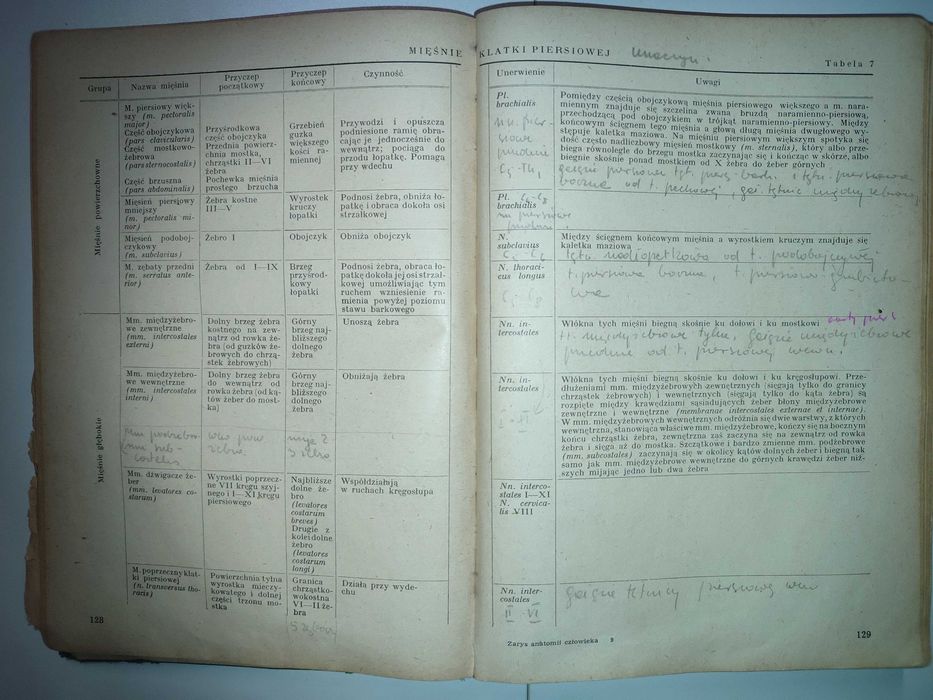 Zarys anatomii człowieka - Adam Krechowiecki