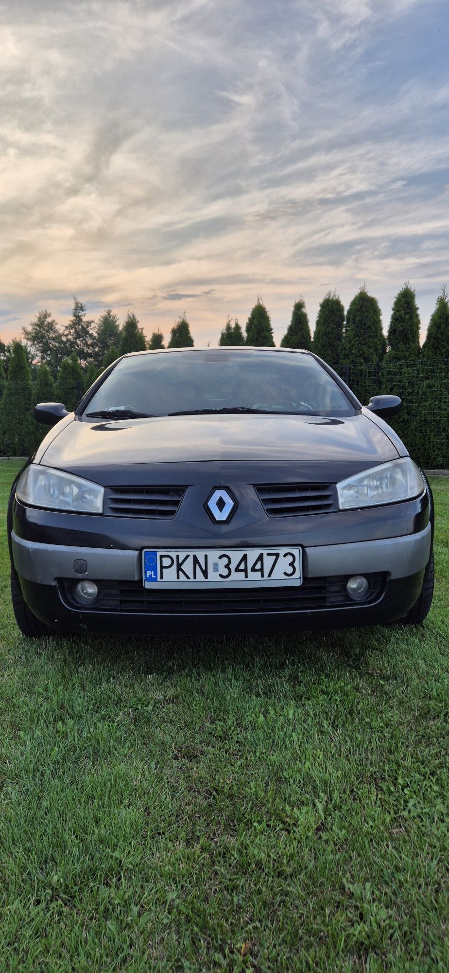 Renault Megane 2 Cupe Cabrio 1.9