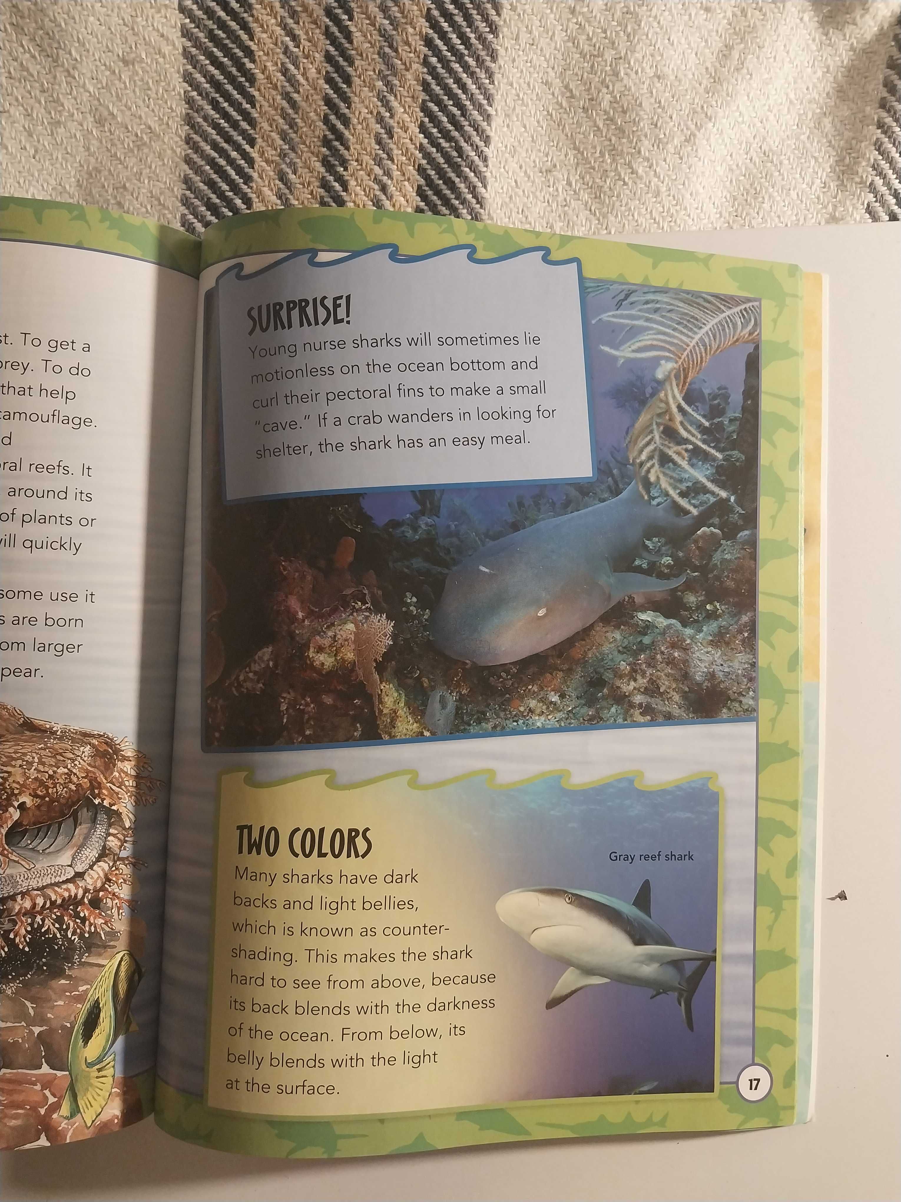 книга для детей и взрослых на английском Amazing world of sharks